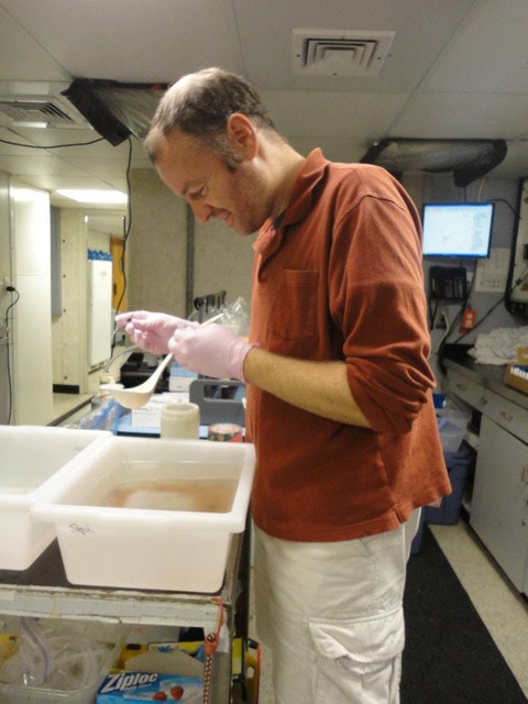 Rob sorting plankton